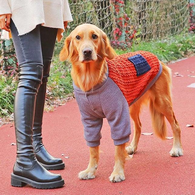 Roupa de Frio para cachorro - Blusão Hoopet - Image 3