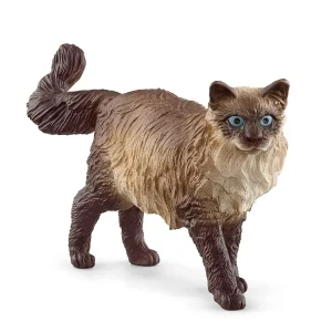 Schleich- Gato Ragdoll